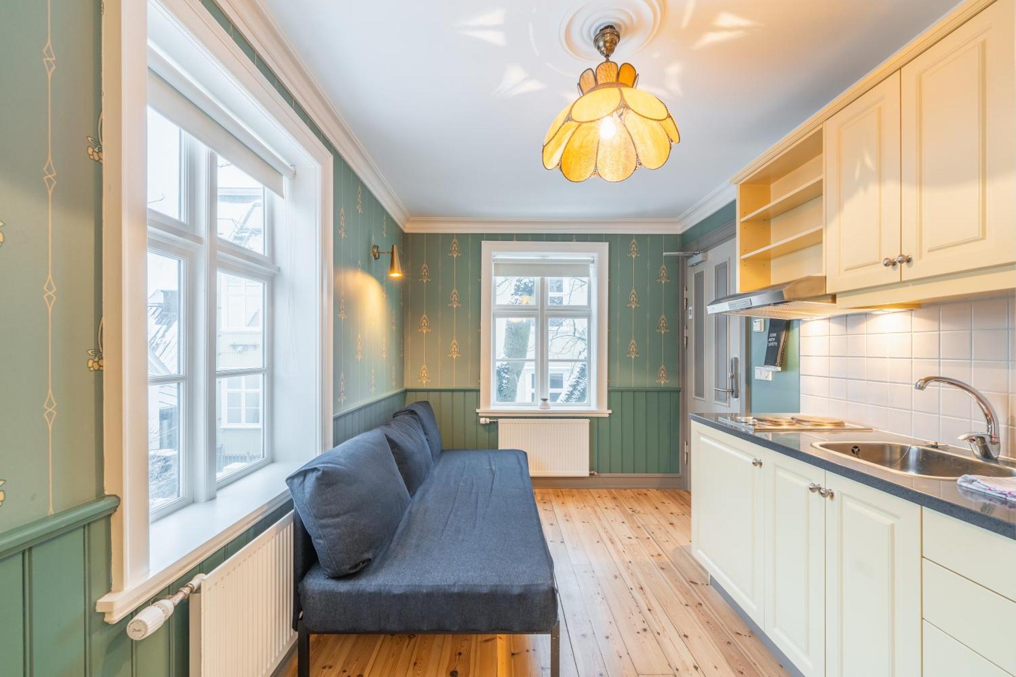 Day Dream Historical Grjotagata 4 Appartement Reykjavík Buitenkant foto